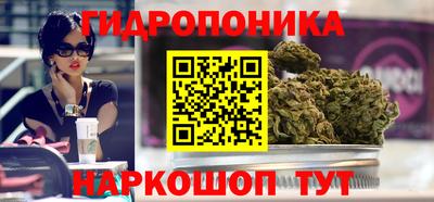 a pvp Свободный