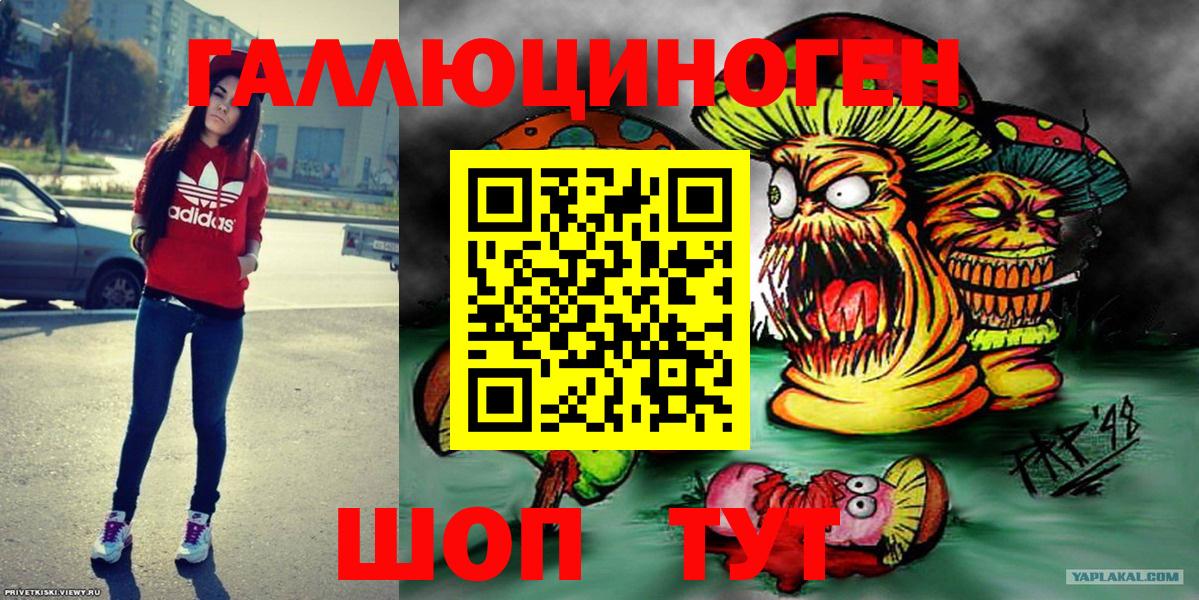 Псилоцибиновые грибы Psilocybe Похвистнево